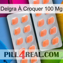 Delgra À Croquer 100 Mg 27